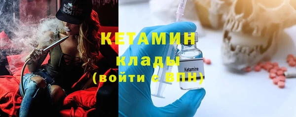 твердый Новозыбков