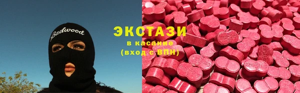 твердый Новозыбков