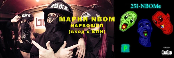 крисы Новокубанск