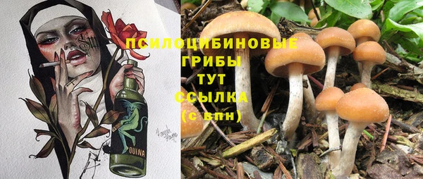 мефедрон мука Новодвинск