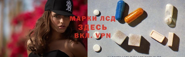 твердый Новозыбков