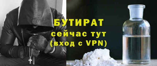 твердый Новозыбков