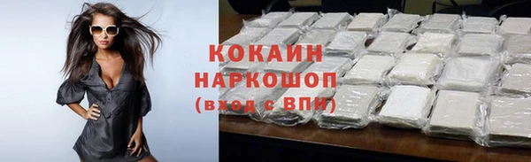 твердый Новозыбков
