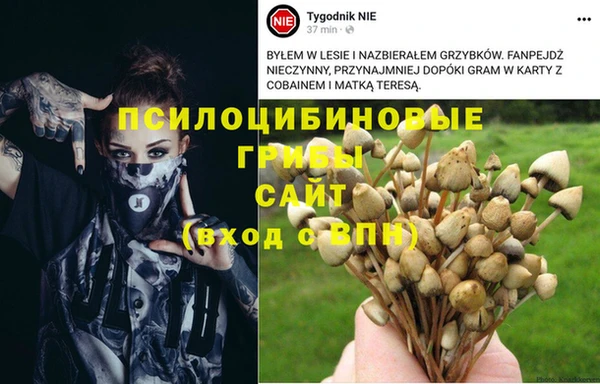 мефедрон мука Новодвинск