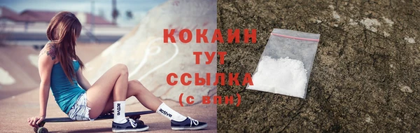 твердый Новозыбков