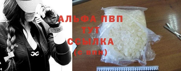 твердый Новозыбков